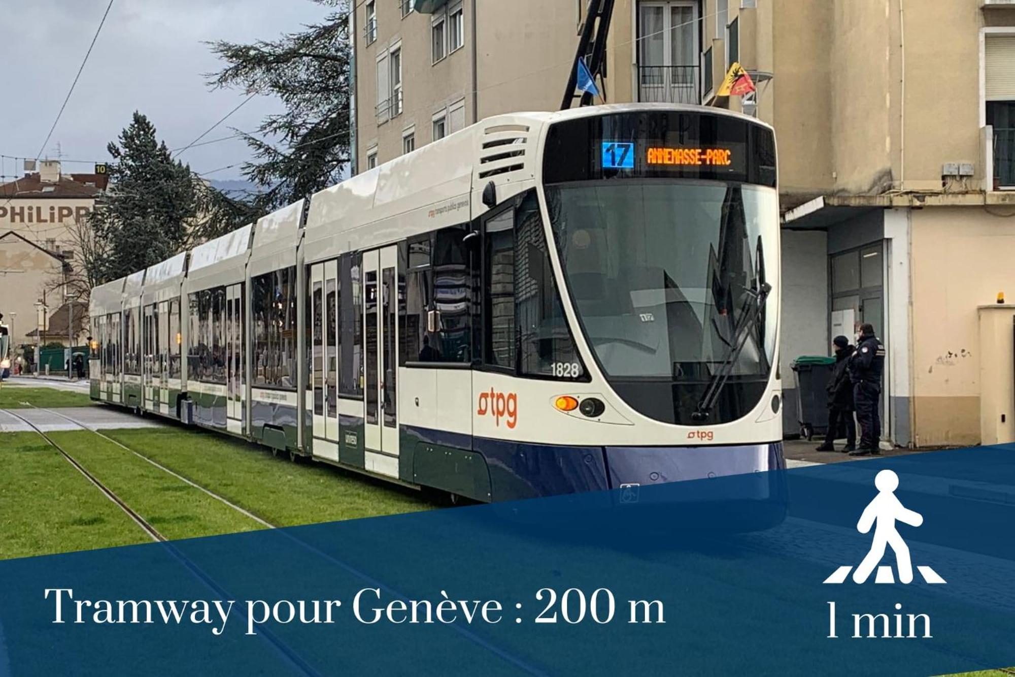 Homey Wild - Proche Gare Et Tram - Proche Centre - Balcon Prive - Parking Prive - Wifi Gratuit Annemasse Dış mekan fotoğraf
